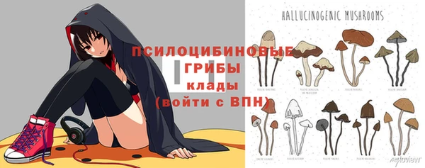 мяу мяу мука Алексин